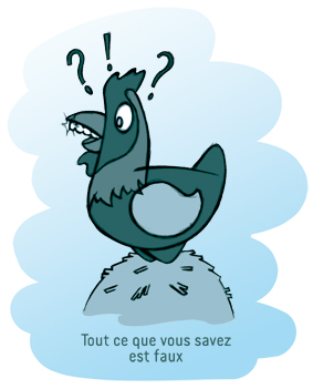 Illustration par Grégoire Dierendonck